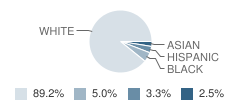 Avon High School Student Race Distribution