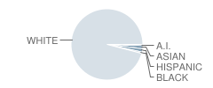 Pleasant Middle School Student Race Distribution