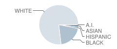 Northmont High School Student Race Distribution