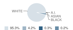 Morgan High School Student Race Distribution