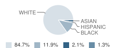 Streetsboro High School Student Race Distribution