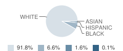 Madison High School Student Race Distribution