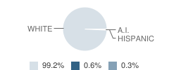 Valley Middle School Student Race Distribution