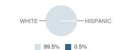 Russia High School Student Race Distribution