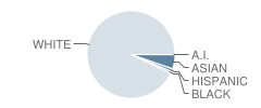 Hudson Middle School Student Race Distribution