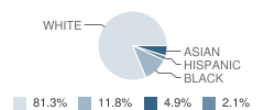 Northfield Elementary School Student Race Distribution