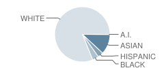 Mason Middle School Student Race Distribution