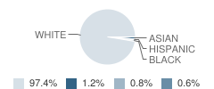 Triway High School Student Race Distribution