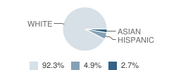 Olney Elementary School Student Race Distribution
