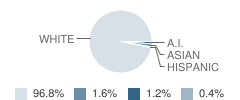 Putnam Elementary School Student Race Distribution