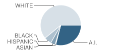 Heritage Intermediate Grade Center School Student Race Distribution