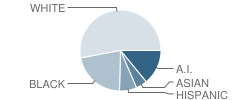 Jarman Middle School Student Race Distribution