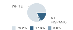 Thomas-Fay-Custer Unified High School Student Race Distribution