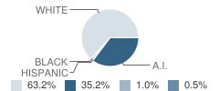 Oklahoma Union High School Student Race Distribution