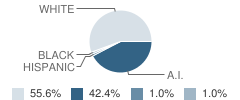 Bernita Hughes Elementary School Student Race Distribution