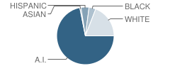 Sunset Elementary School Student Race Distribution