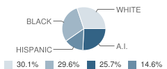 Jefferson Elementary School Student Race Distribution