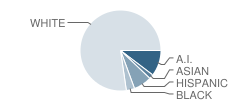 Bethany High School Student Race Distribution