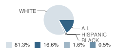 Bethel High School Student Race Distribution