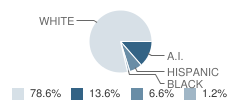 Blanchard Middle School Student Race Distribution