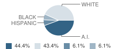 Boswell High School Student Race Distribution