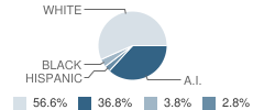 Bowlegs Elementary School Student Race Distribution