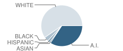 Bowlegs High School Student Race Distribution