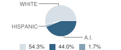 Buffalo Valley Elementary School Student Race Distribution