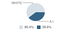 Buffalo Valley High School Student Race Distribution