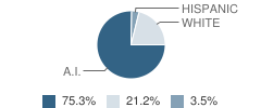 Caney High School Student Race Distribution