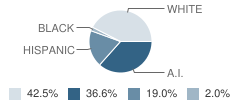 Carnegie High School Student Race Distribution