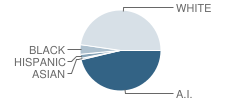 Okemah Elementary School Student Race Distribution