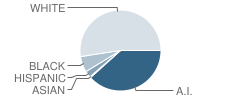 Okemah High School Student Race Distribution