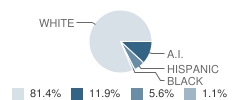 Cement Elementary School Student Race Distribution