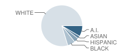 Park Road Elementary School Student Race Distribution