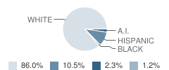 Cheyenne High School Student Race Distribution