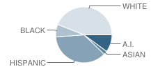 Washington Elementary School Student Race Distribution