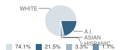 Comanche Middle School Student Race Distribution