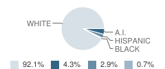 Cordell High School Student Race Distribution