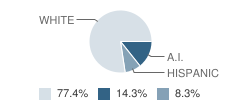 Covington-Douglas High School Student Race Distribution