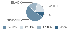 Crooked Oak Middle School Student Race Distribution