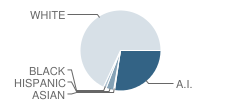 Cyril Elementary School Student Race Distribution