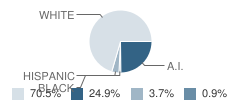 Depew Elementary School Student Race Distribution