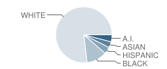 Cimarron Middle School Student Race Distribution