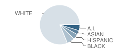 North High School Student Race Distribution