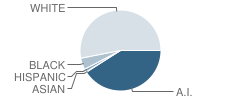 Eufaula Elementary School Student Race Distribution