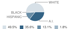 Geary Elementary School Student Race Distribution