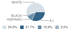 Geary High School Student Race Distribution