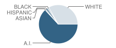 Gore High School Student Race Distribution