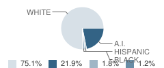 Harrah High School Student Race Distribution